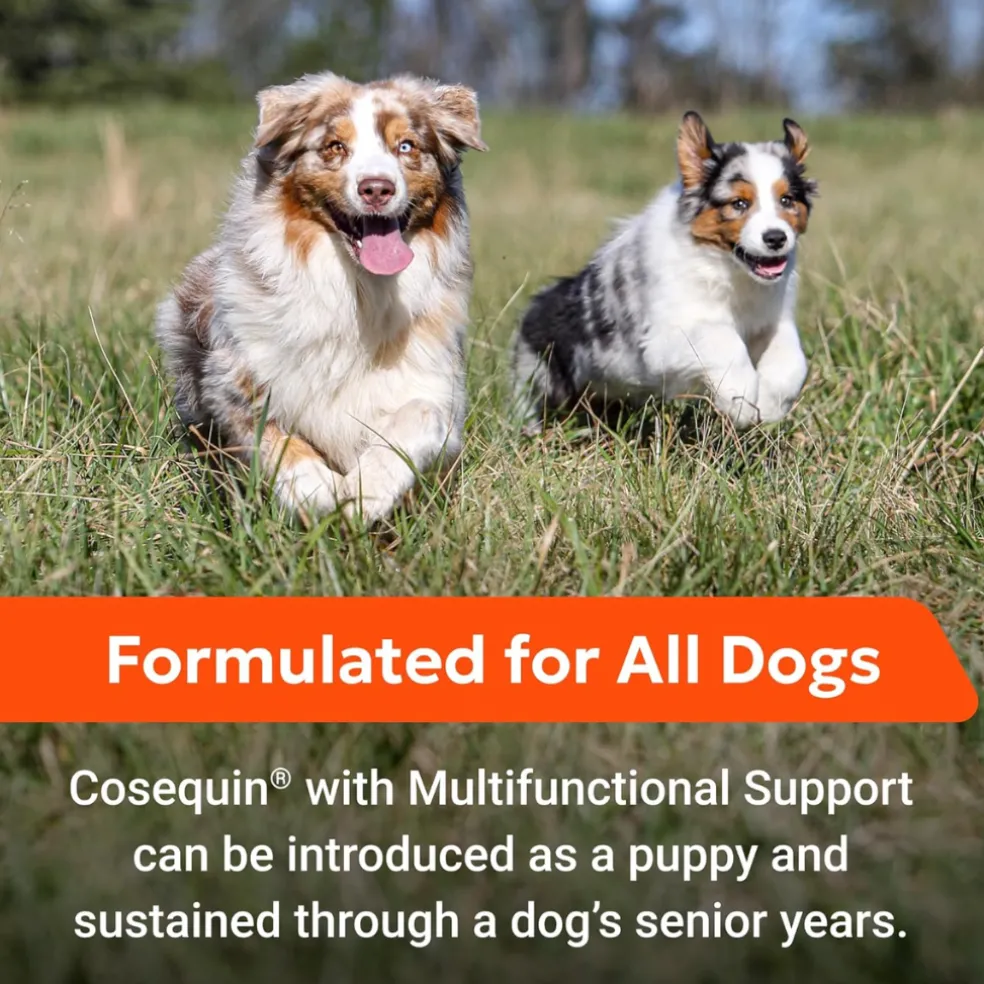 Cosequin Joint Health Supplement with Multifunctional Support (90 Soft Chews)