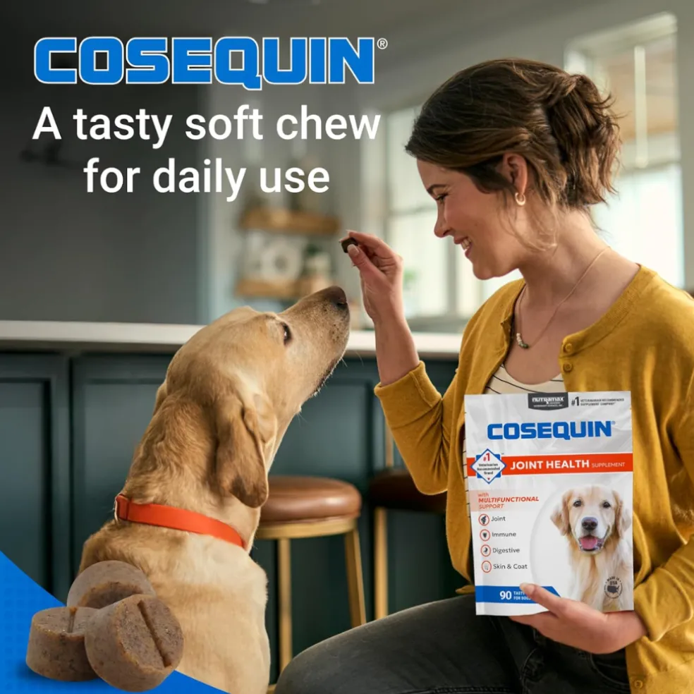 Cosequin Joint Health Supplement with Multifunctional Support (90 Soft Chews)