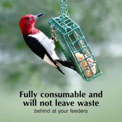 C&S High Energy Delight No Melt Suet Dough for Wild Birds (11 oz)