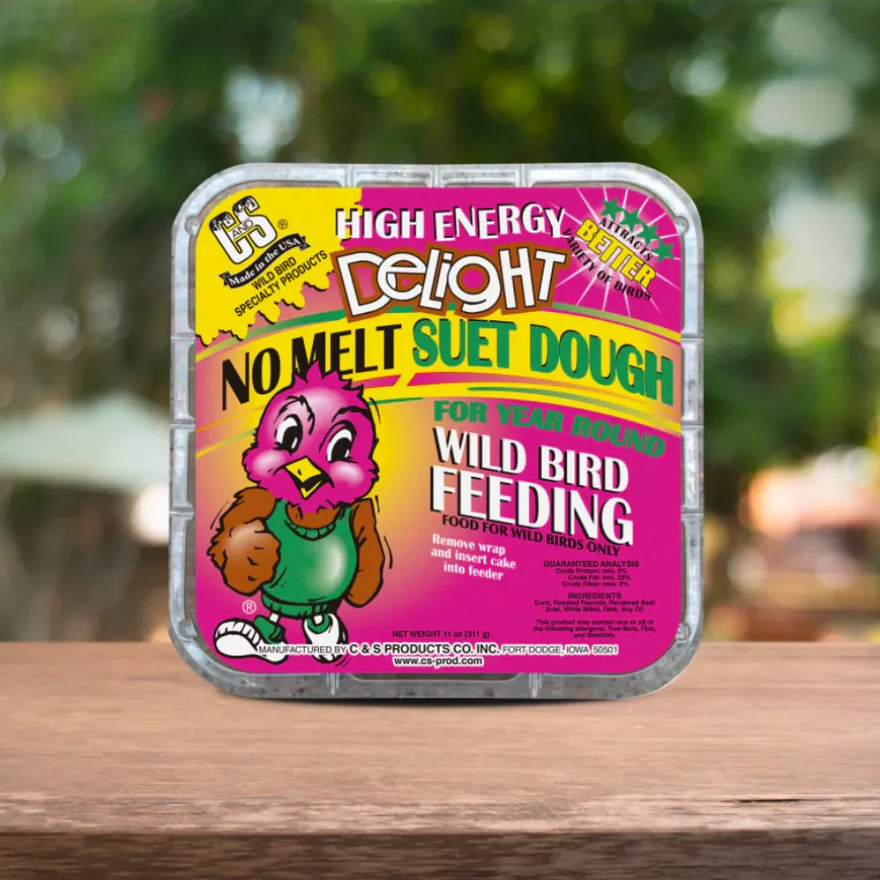 C&S High Energy Delight No Melt Suet Dough for Wild Birds (11 oz)