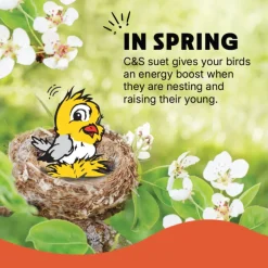 C&S High Energy Suet Treat for Wild Birds (11.75 oz)
