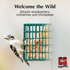 C&S High Energy Suet Treat for Wild Birds (11.75 oz)