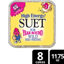 C&S High Energy Suet Treat for Wild Birds (11.75 oz)
