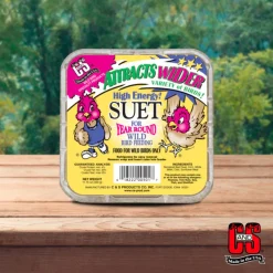 C&S High Energy Suet Treat for Wild Birds (11.75 oz)