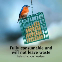 C&S No Melt Suet Dough for Wild Birds (11.75 oz)