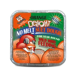 C&S No Melt Suet Dough for Wild Birds (11.75 oz)