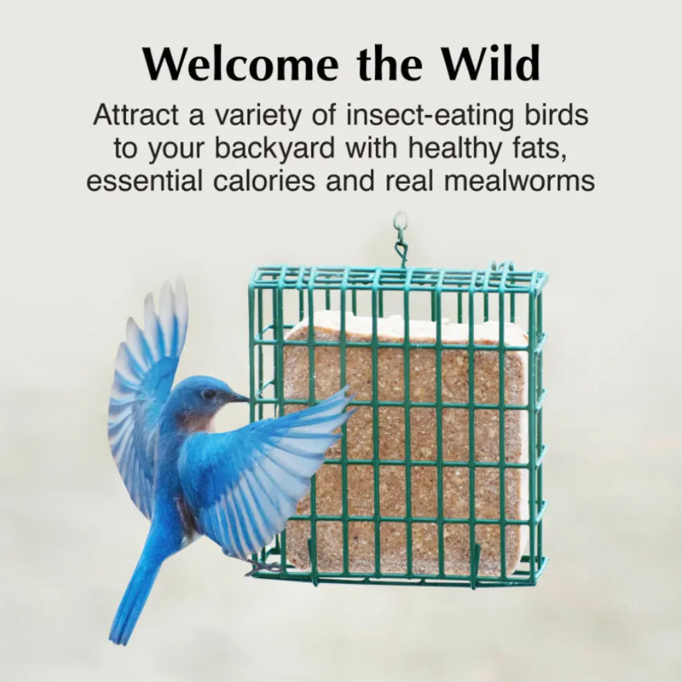 C&S Suet Treat for Wild Birds, 12 pack