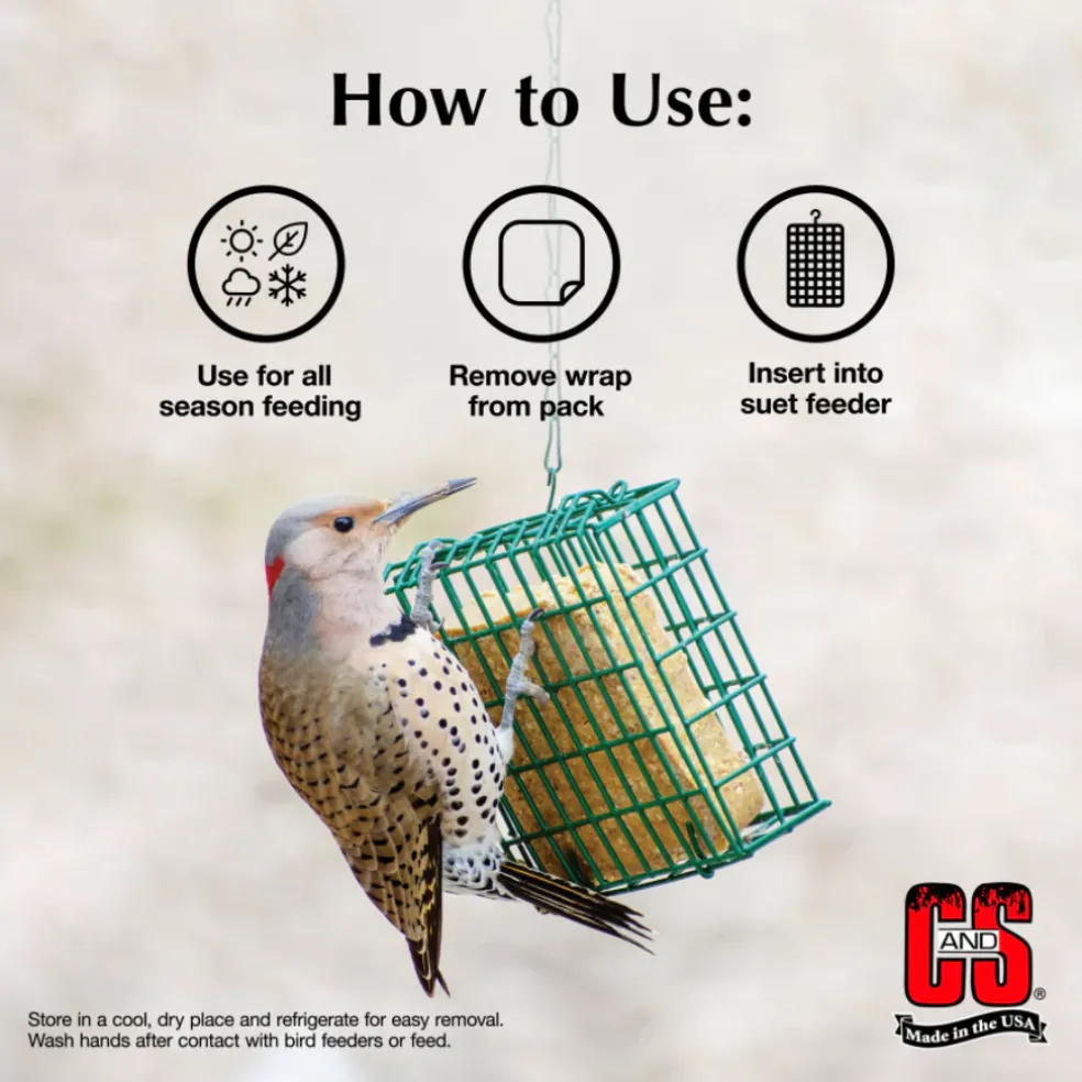 C&S Suet Treat for Wild Birds, 12 pack