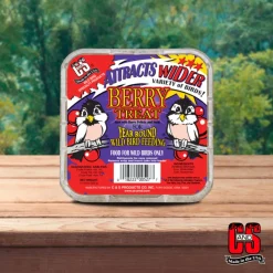 C&S Suet Treat for Wild Birds, 12 pack