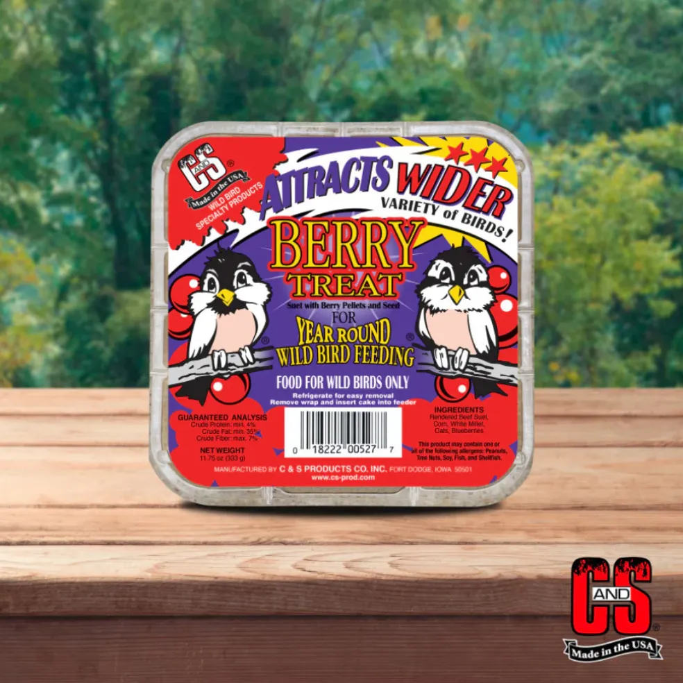 C&S Suet Treat for Wild Birds, 12 pack