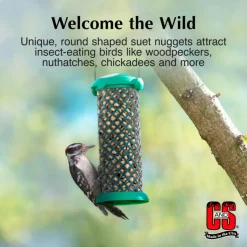 C&S Woodpecker Suet Nuggets Wild Bird Food (27 oz)