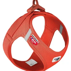 Curli Vest Harness curli Clasp Air-Mesh Sun Orange for Dogs