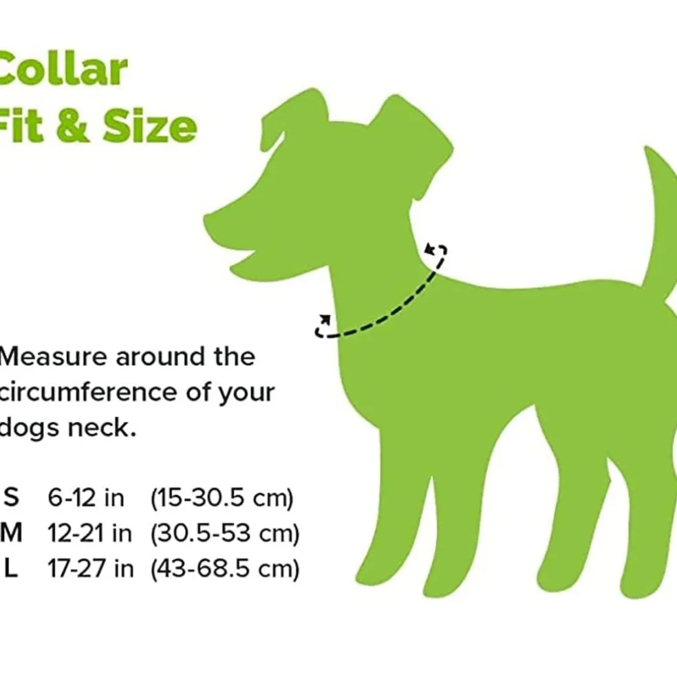 Cycle Dog Regular Width Collar Metal Buckle Orange Max Reflective
