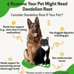 Dandelion Root Digestive & Liver Support for Dogs
