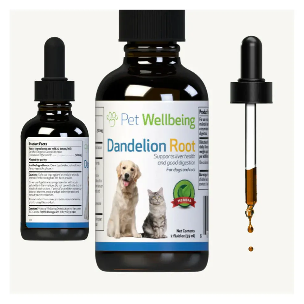 Dandelion Root Digestive & Liver Support for Cats