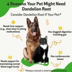 Dandelion Root Digestive & Liver Support for Cats