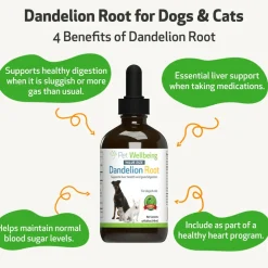 Dandelion Root Digestive & Liver Support for Cats