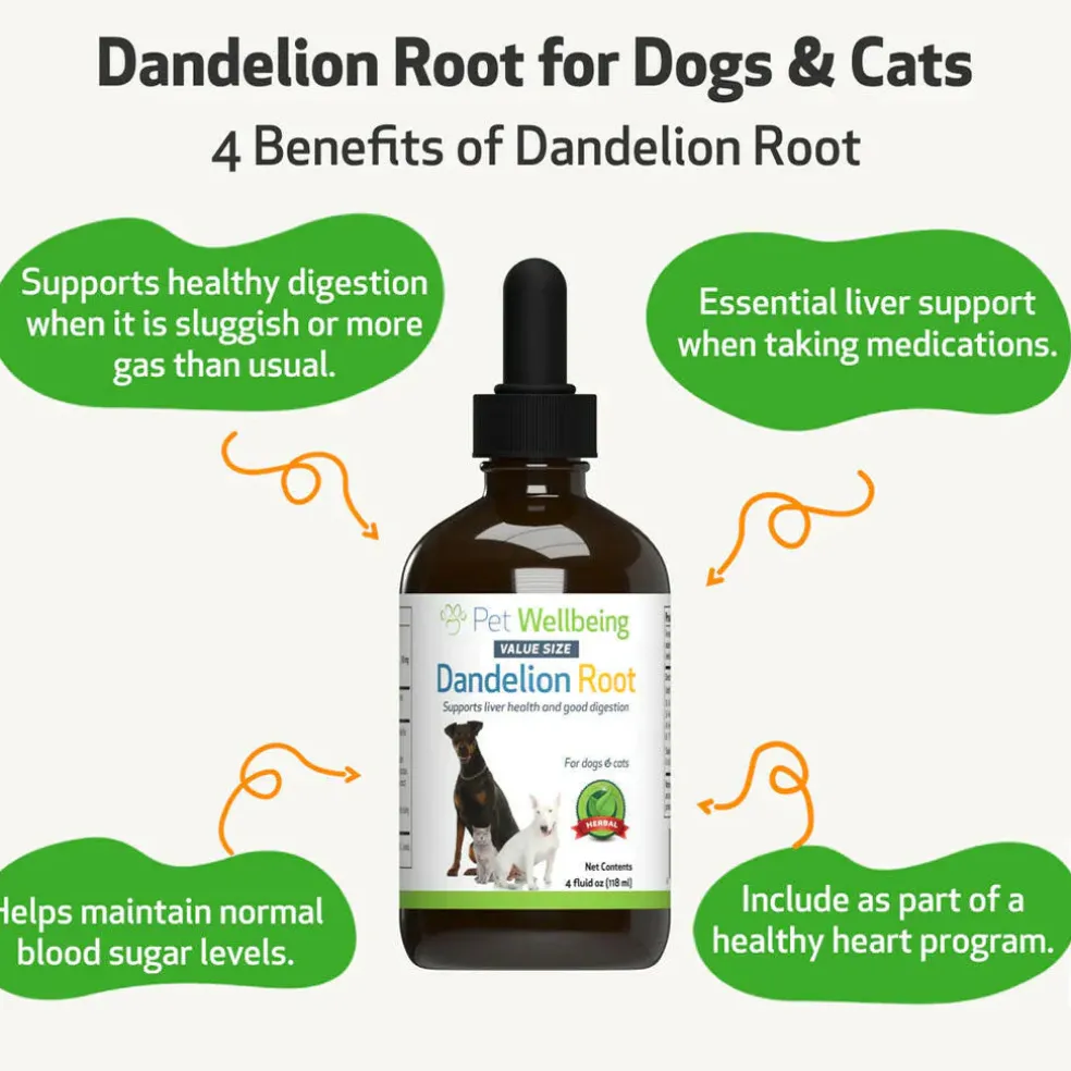 Dandelion Root Digestive & Liver Support for Cats