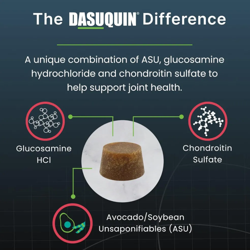Dasuquin Senior for Dogs (84 soft chews)