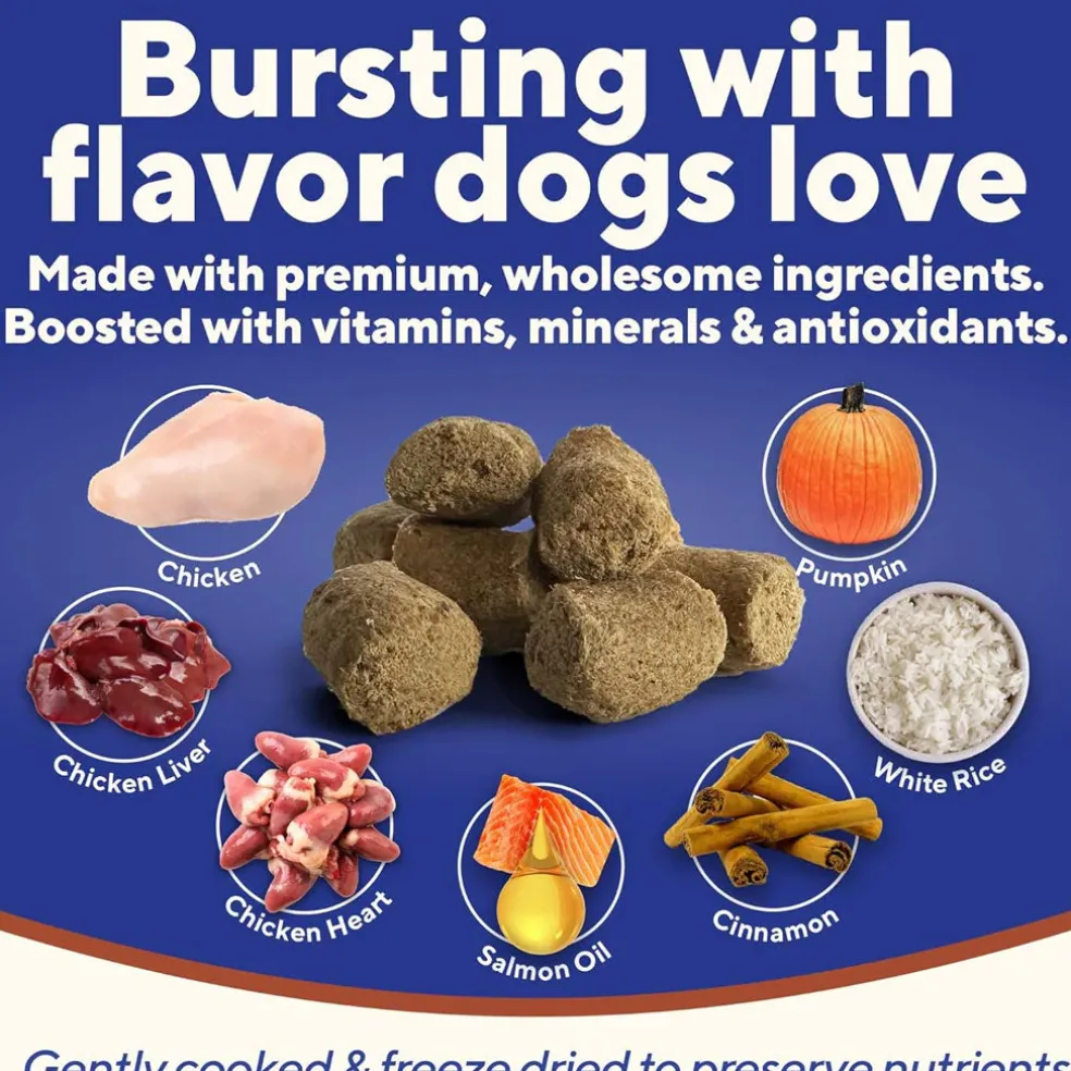 Dave's Digesti-Bites Freeze-Dried Chicken, Rice & Pumpkin Dog Treats
