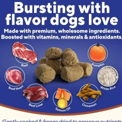 Dave's Digesti-Bites Freeze-Dried Beef, Rice & Pumpkin Dog Treats