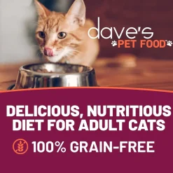 Dave's Pet Food Farmyard Fowl Stew Grain-Free Canned Wet Cat Food, 5.5-oz can, case of 24