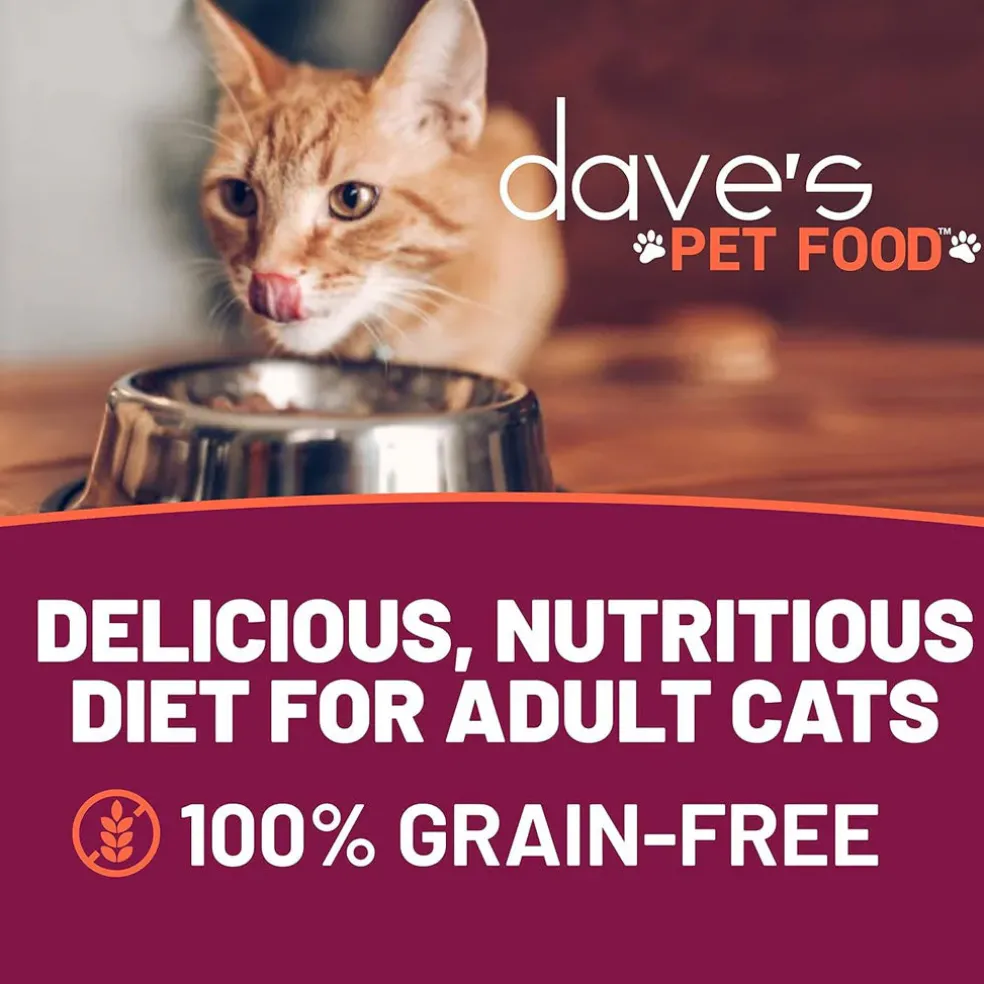 Dave's Pet Food Farmyard Fowl Stew Grain-Free Canned Wet Cat Food, 5.5-oz can, case of 24