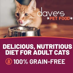 Dave's Pet Food Minced Chicken Dinner in Gravy Canned Wet Cat Food, 2.8-oz can, case of 24