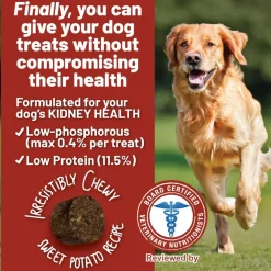 Dave's Pet Food Renal-Friendly Sweet Potato Recipe Treats For Dogs (5 oz)