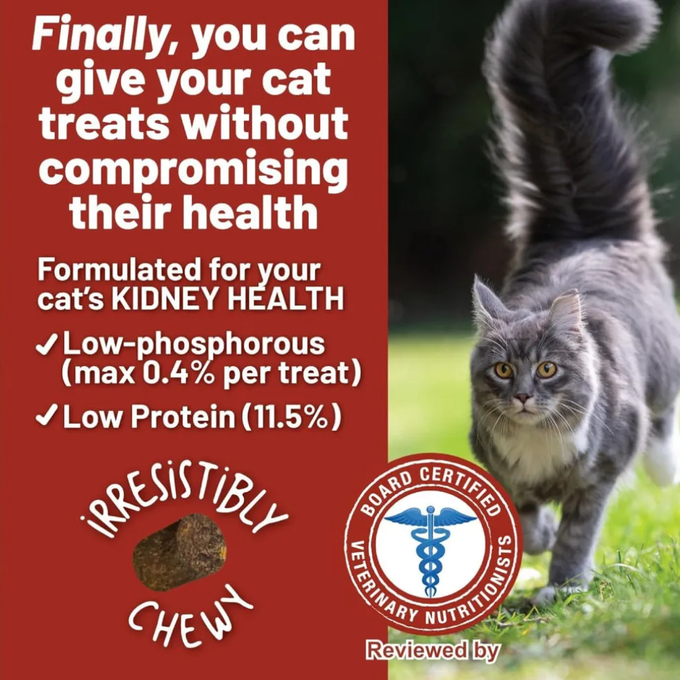 Dave's Pet Food Renal-Friendly Sweet Potato Recipe Treats For Cats (3 oz)