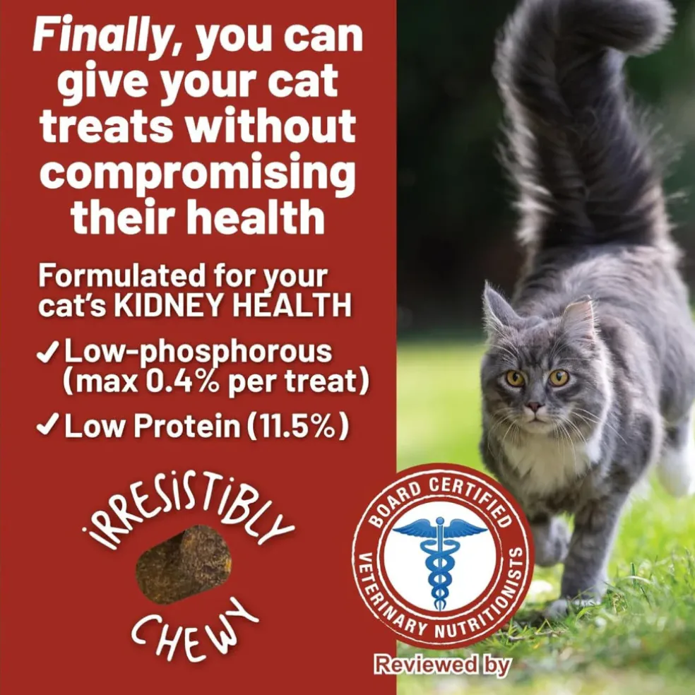 Dave's Pet Food Renal-Friendly Sweet Potato Recipe Treats For Cats (3 oz)
