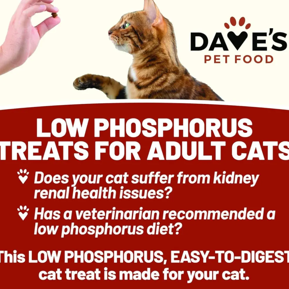 Dave's Pet Food Renal-Friendly Sweet Potato Recipe Treats For Cats (3 oz)