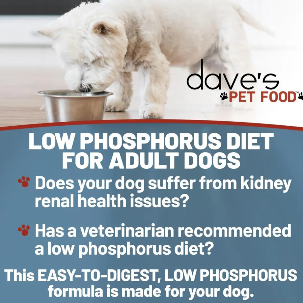 Dave's Pet Food Restricted Diet Phosphorus & Protein Kidney Support Tuna Pate in Gravy Wet Food for Dogs