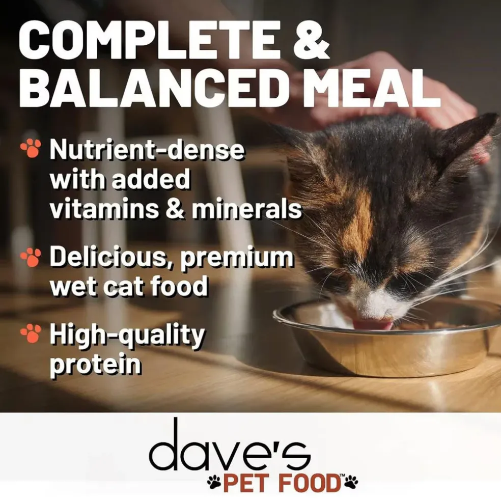 Dave's Pet Food Saucey Pate Chicken Recipe Grain-Free Wet Canned Cat Food, 5.5-oz can, case of 24