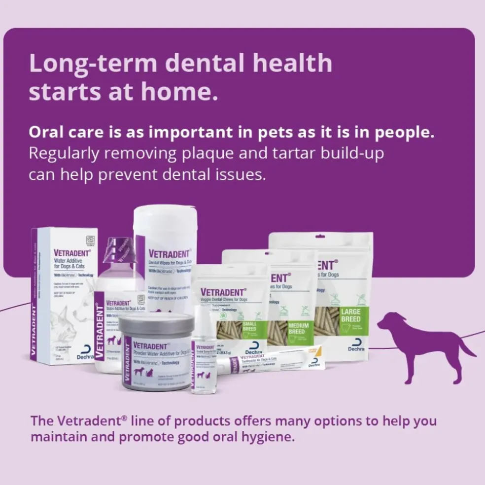 Dechra Vetradent Veggie Dental Chews for Dogs (30 Chews)