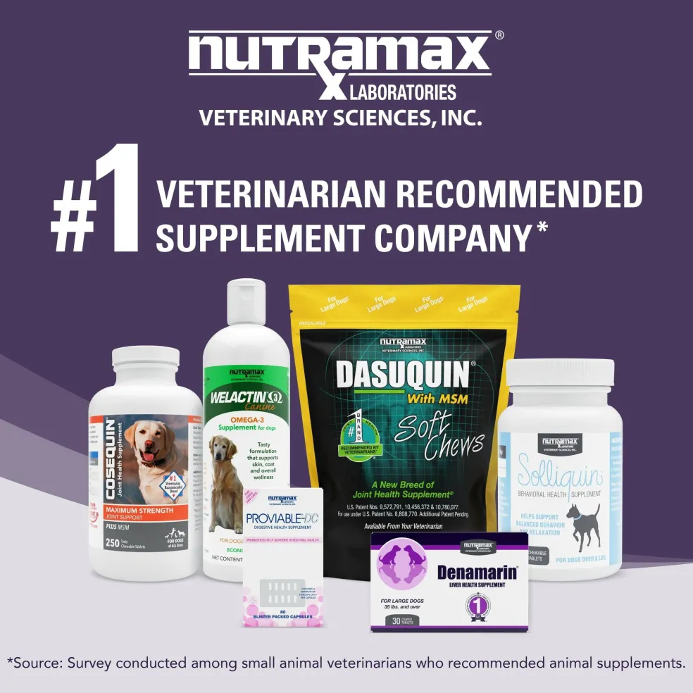 Denamarin for Cats and Small Dogs in a Bottle