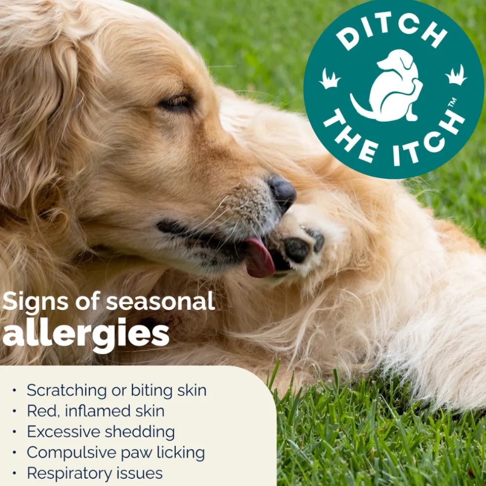 Dermabliss Advanced Vet Strength Seasonal Allergy Health Chews for Dogs