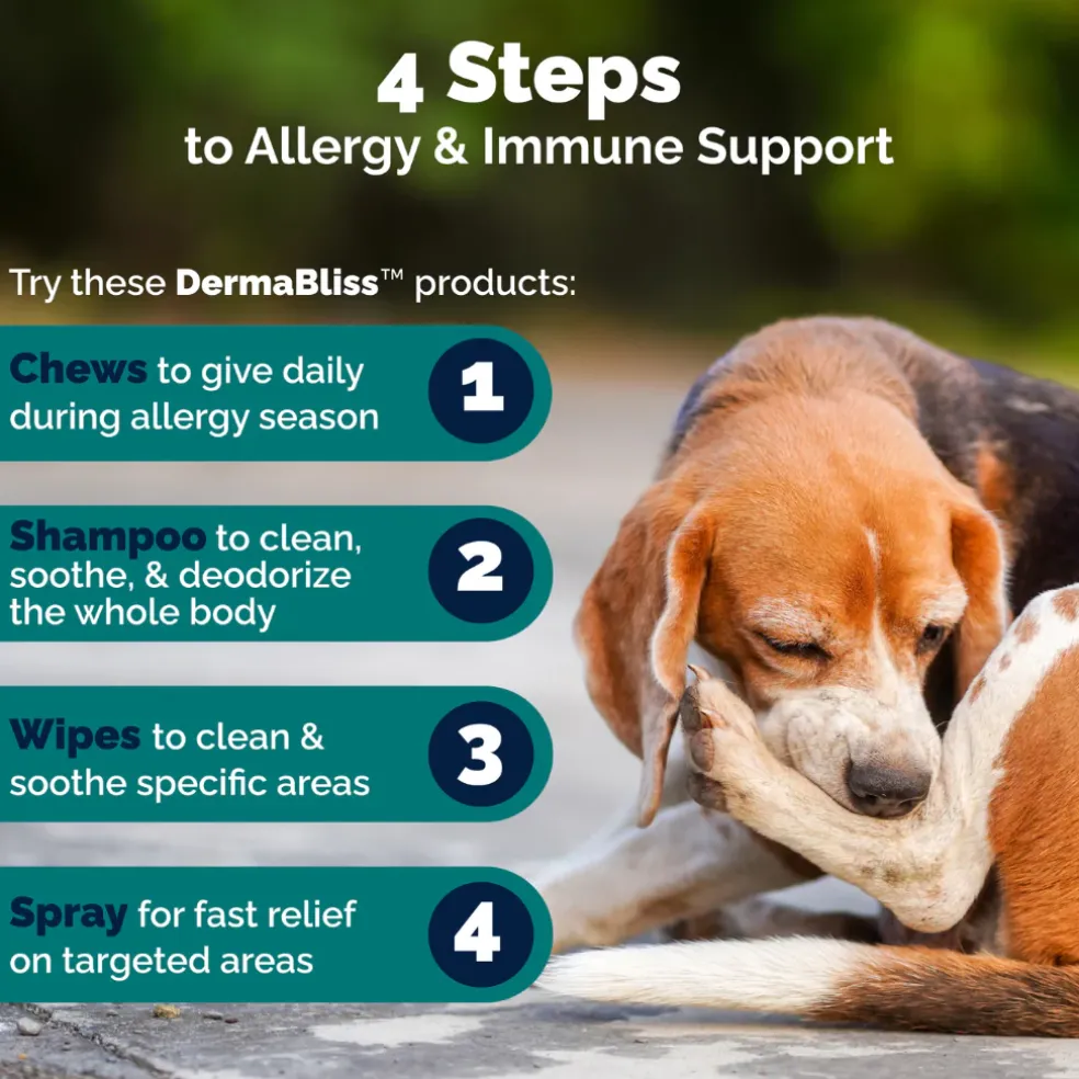 Dermabliss Advanced Vet Strength Seasonal Allergy Health Chews for Dogs