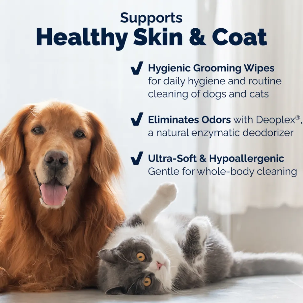 Dermabliss Grooming Wipes for Dogs & Cats (100 Wipes)