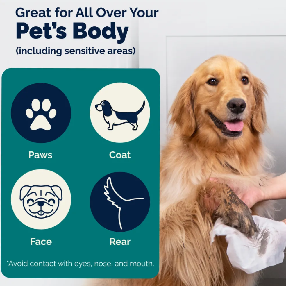 Dermabliss Grooming Wipes for Dogs & Cats (100 Wipes)