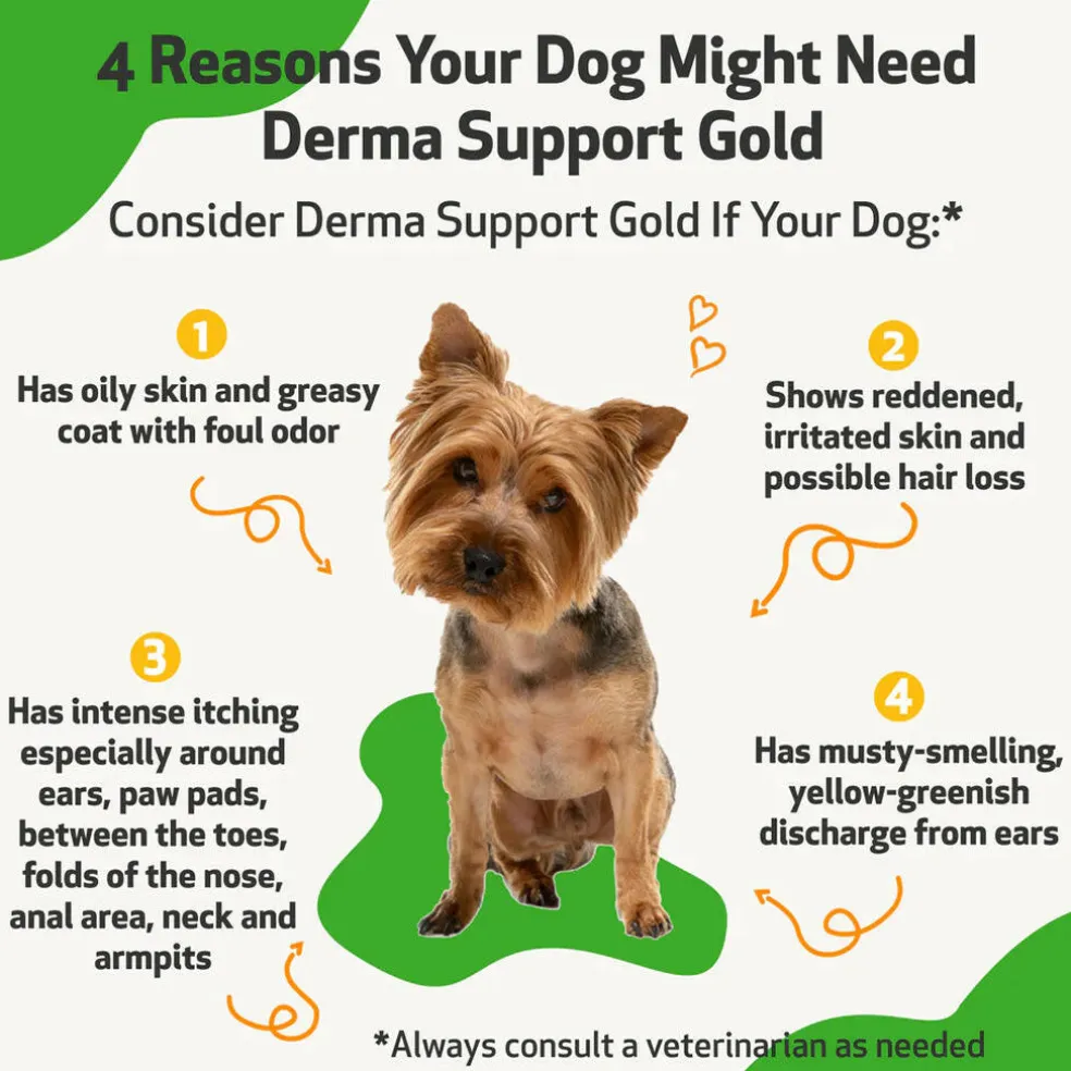 Derma Support Gold for Dogs Healthy Coat, Odor & Itching (2 oz)
