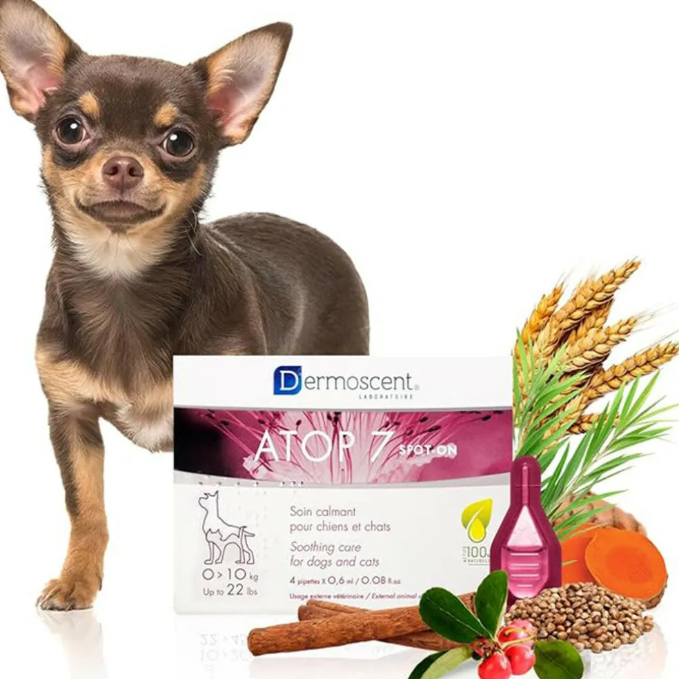 Dermoscent Atop-7 SpotOn for Small Dogs & Cats 0-22lb (4 count)