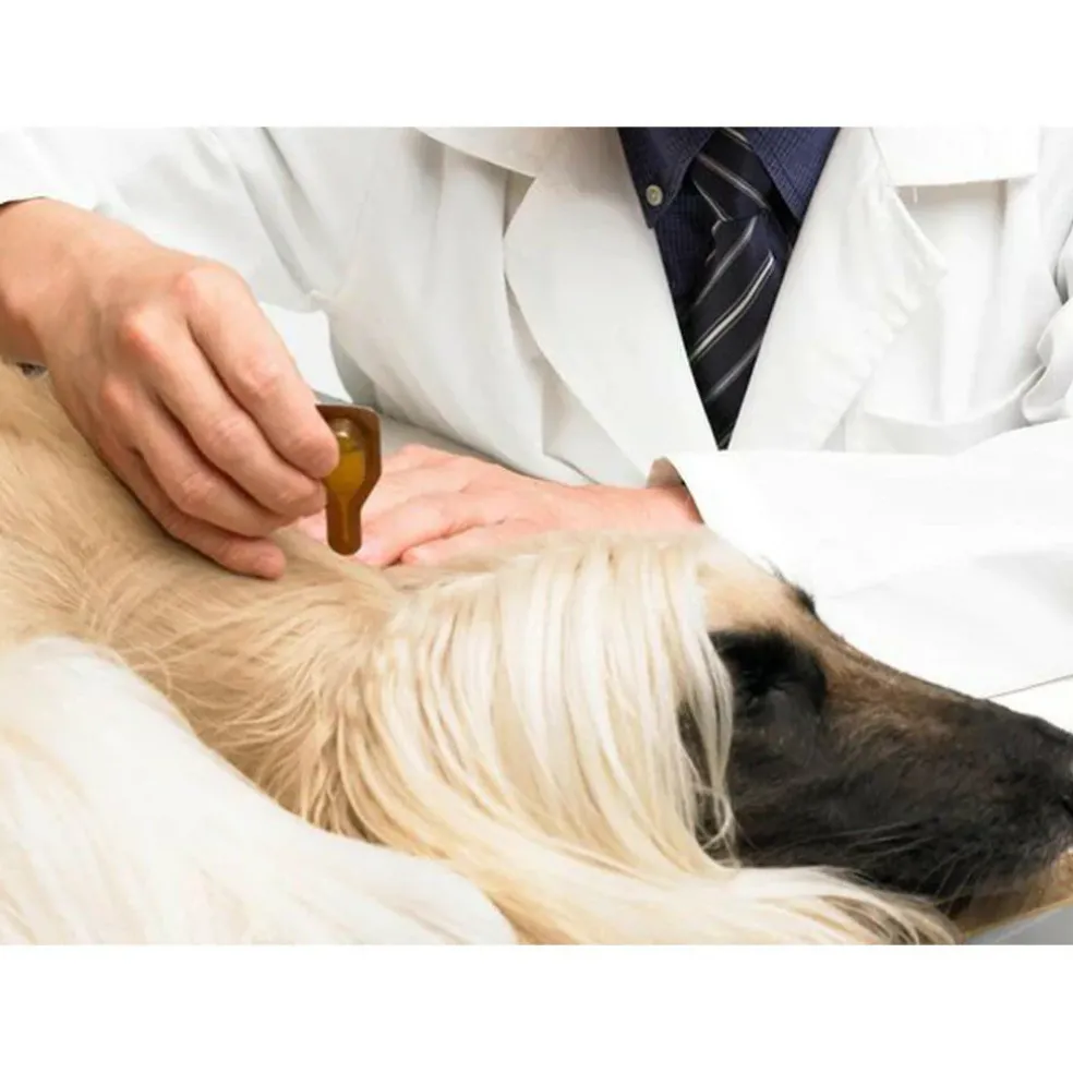 Dermoscent Essential-6 SpotOn Skin Care for Large Dogs 45-90 lbs (4 count)