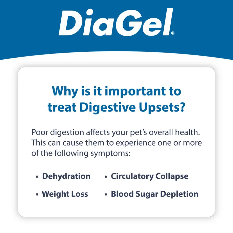 DiaGel Anti-Diarrheal Gel for Large Dogs (5 ml)