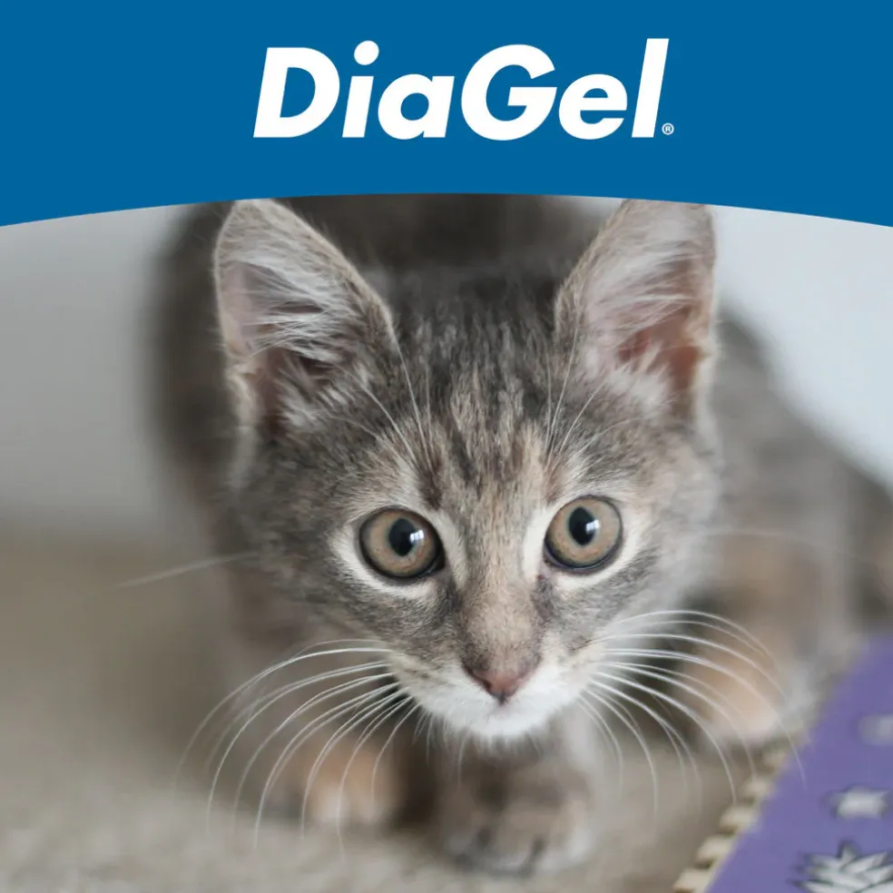 DiaGel Anti-Diarrheal Gel for Kittens (0.5 ml)