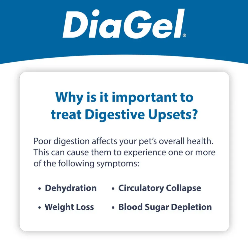 DiaGel Anti-Diarrheal Gel for Cats (1 ml)