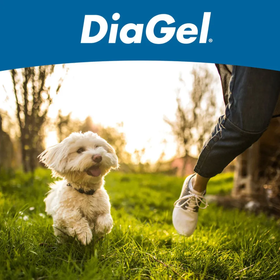 DiaGel Anti-Diarrheal Gel for Small Dogs (1 ml)