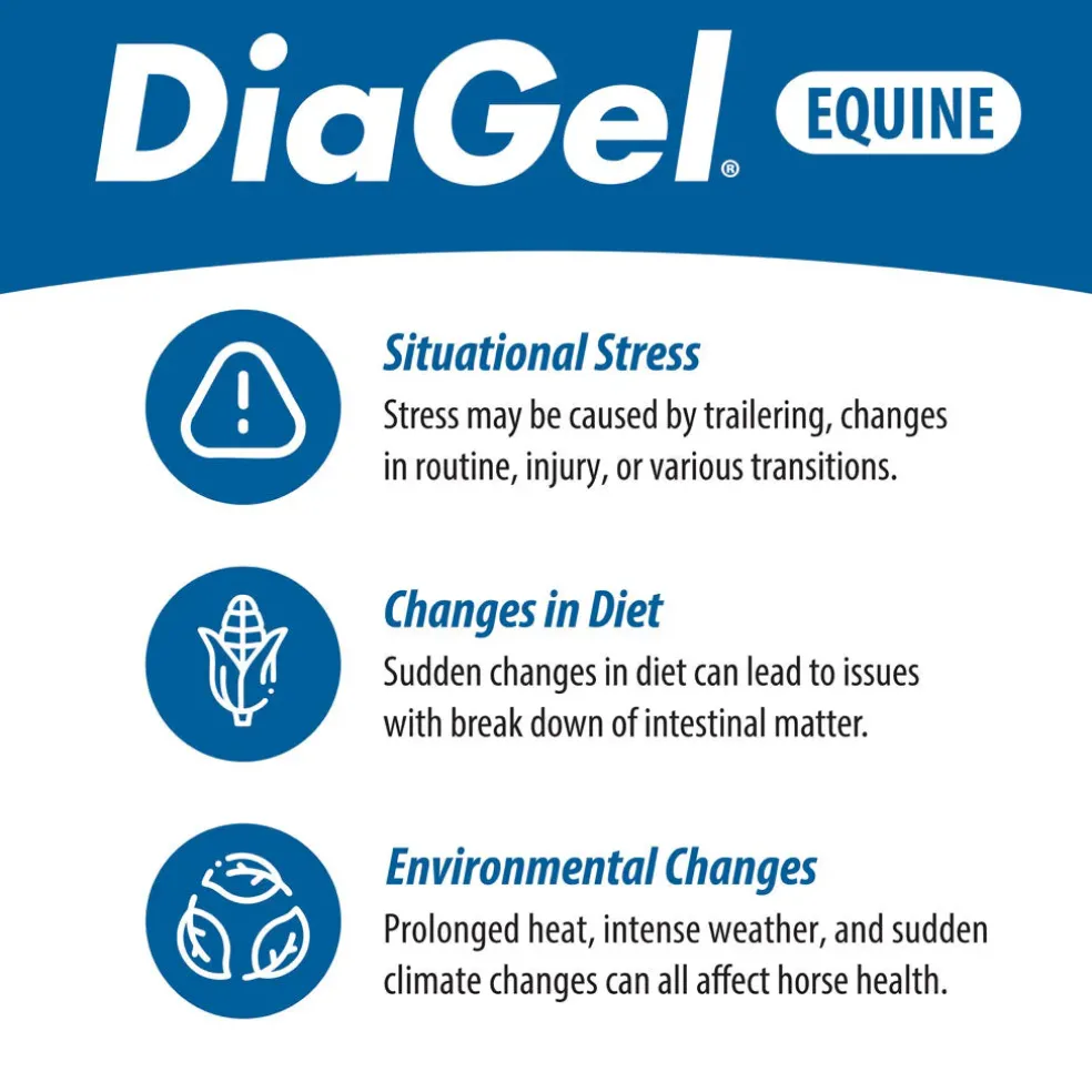 DiaGel Anti-Diarrheal Gel for Horses (30 ml)