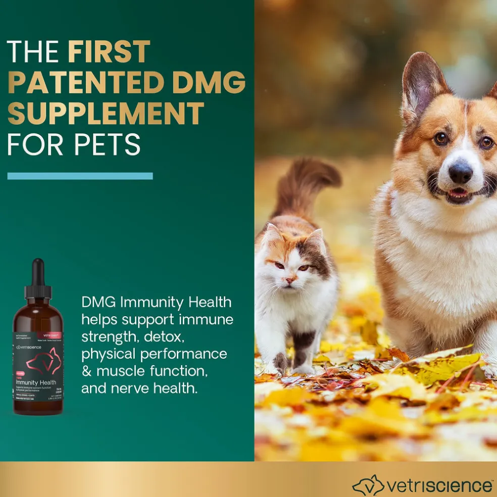DMG Immunity Health Liquid for Cats and Dogs