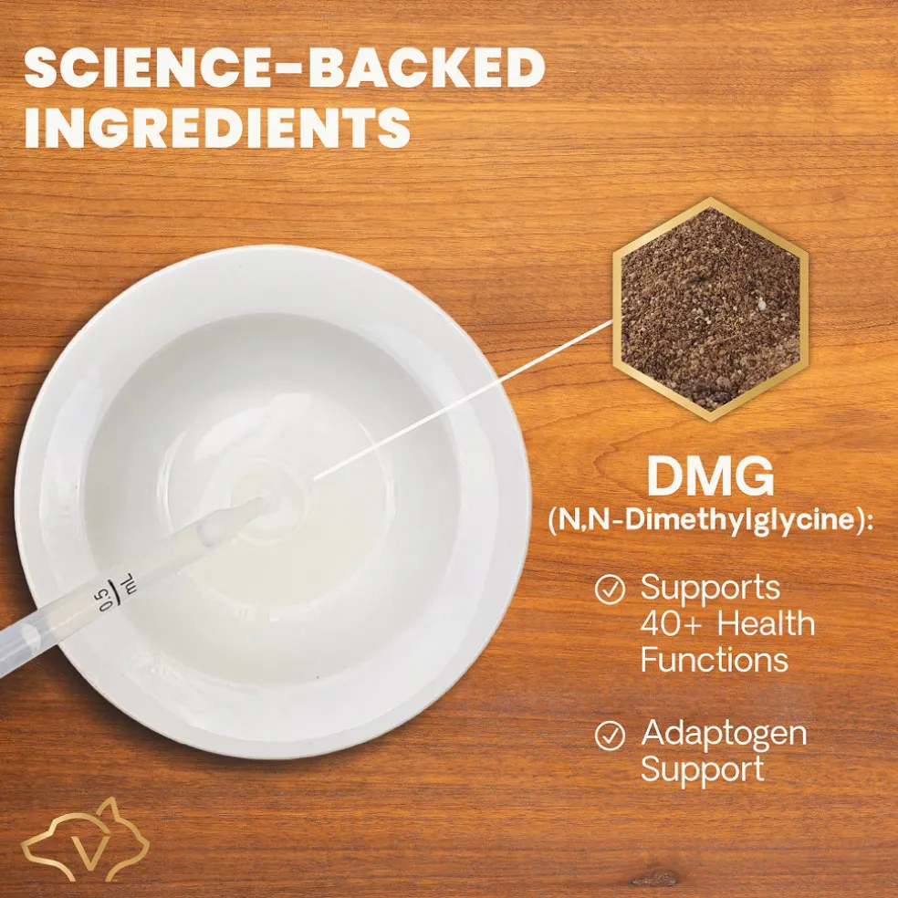 DMG Immunity Health Liquid for Cats and Dogs
